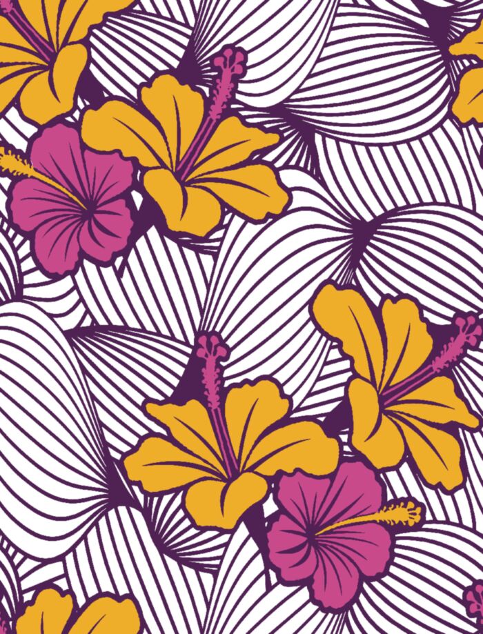 Trio d'Hibiscus main product photo