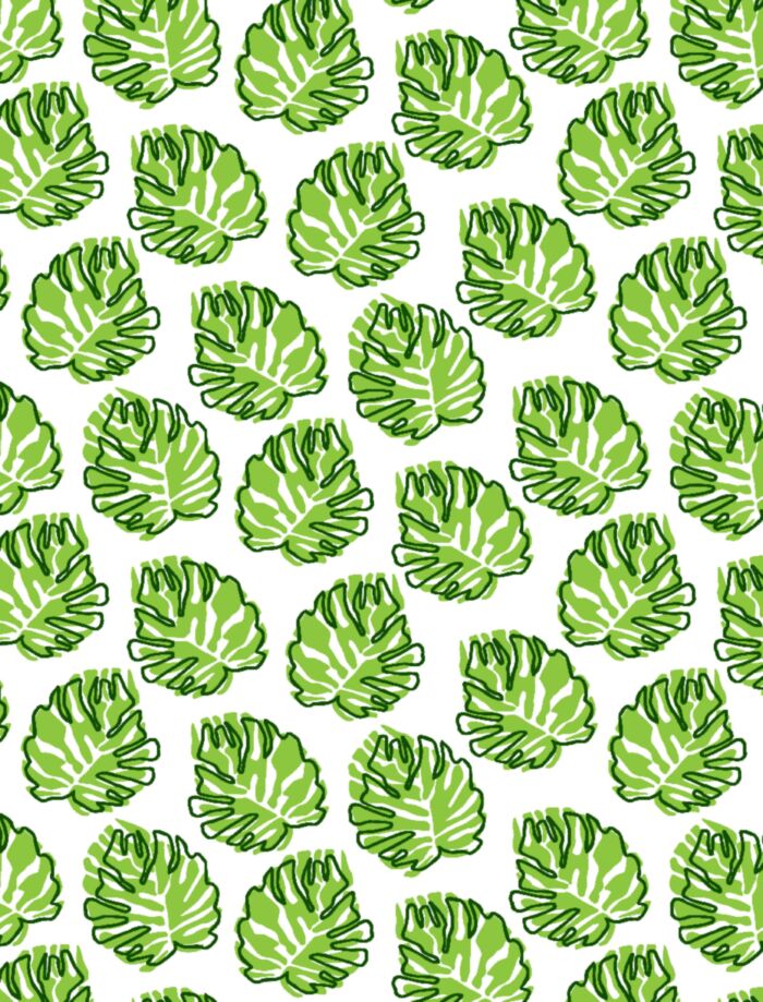 Monsteras main product photo