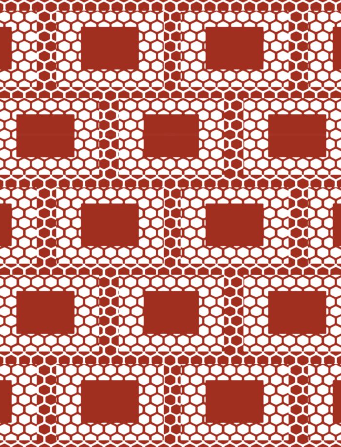 Briques main product photo