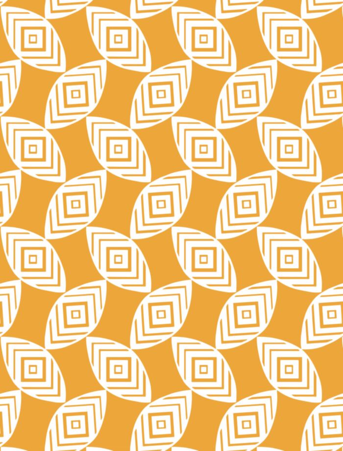 Shaka Zulu main product photo