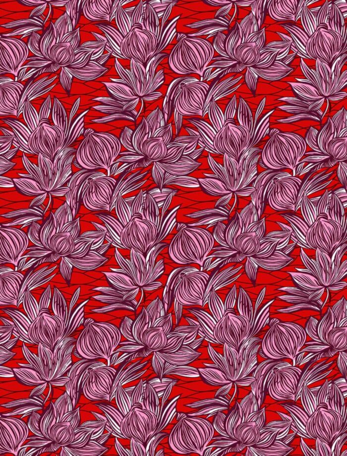 Djaba main product photo