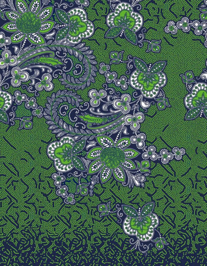 Ancien Java main product photo