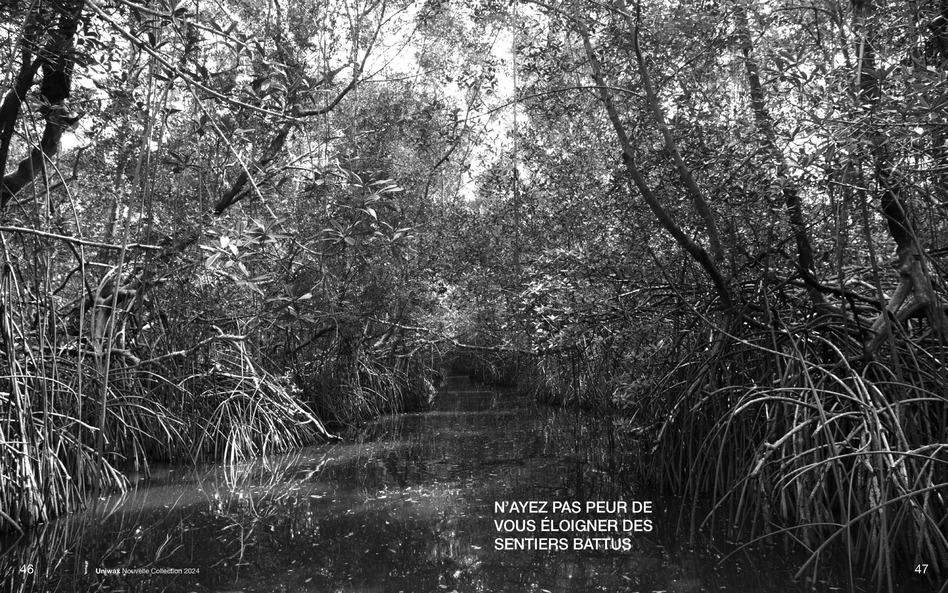 Nouvelle collection Uniwax