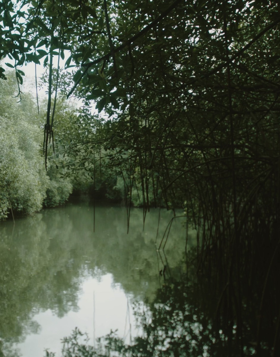 UniwaxCôte d'Ivoire