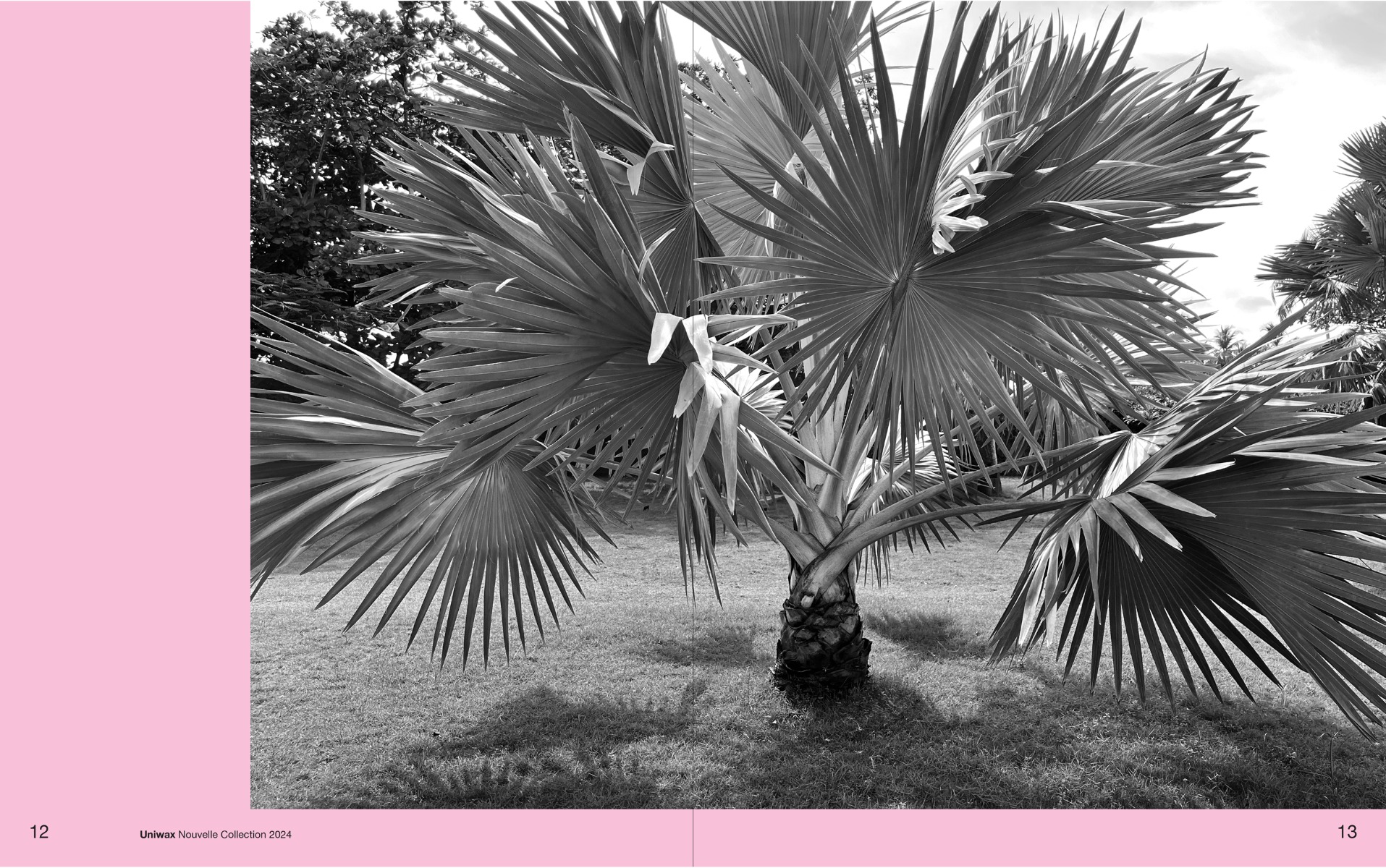 La nouvelle collection uniwax